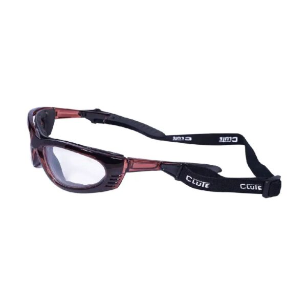Lente Alpine